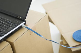 为什么笔记本电脑无法通过网线连接家庭网络？——常见原因与解决方案